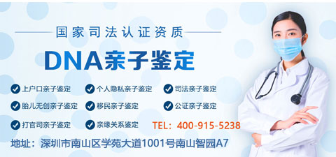 深圳親子鑒定收費