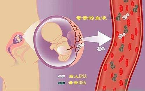 正規胎兒親子鑒定多少錢?