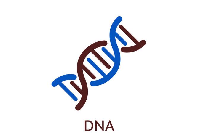 DNA鑒定親子價(jià)格